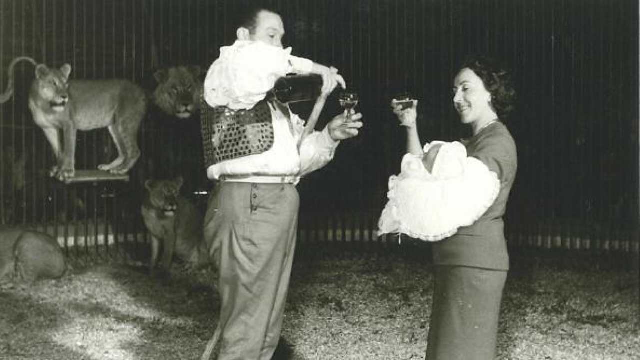 maria pollacci ostetrica