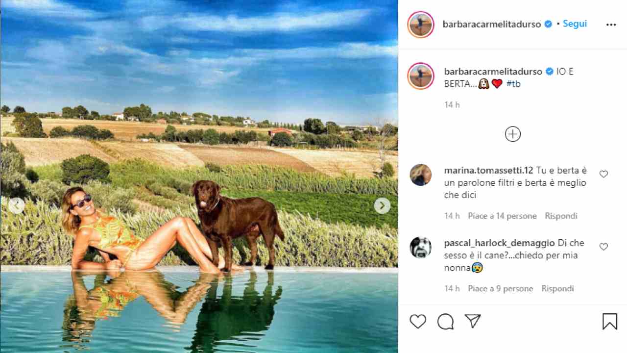 barbara d'urso e cane
